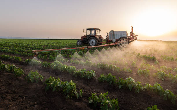 Reliable Chico, TX Pest Control Solutions