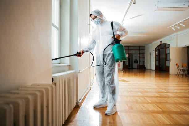 Insect Control in Chico, TX